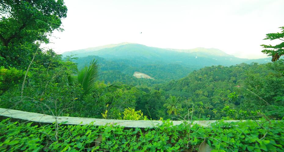 Nature Treat, Munnar 4